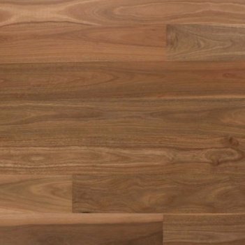 Spotted Gum