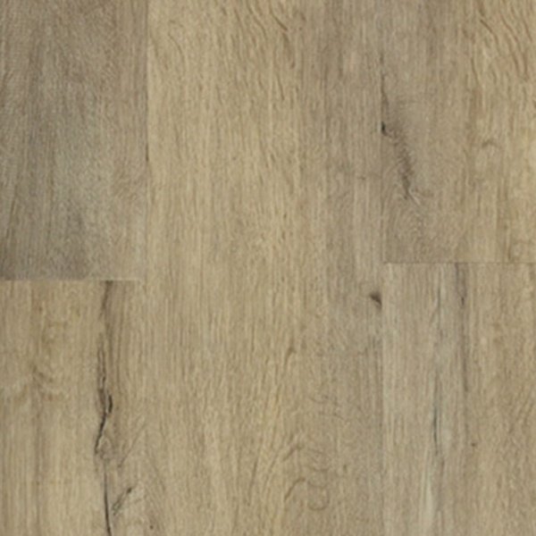 Barn Oak