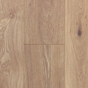 Sedal Grey