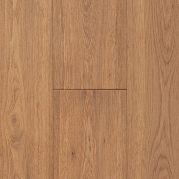 Desert Oak