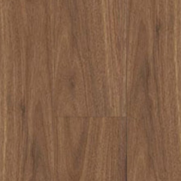 Spotted Gum