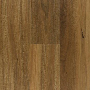 NSW Spotted Gum