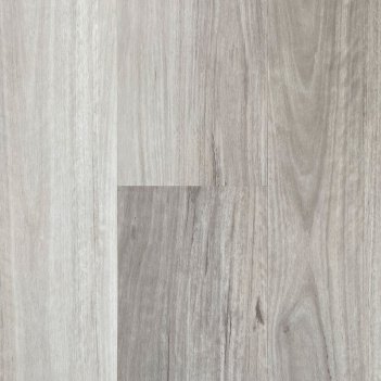 Dapple Grey